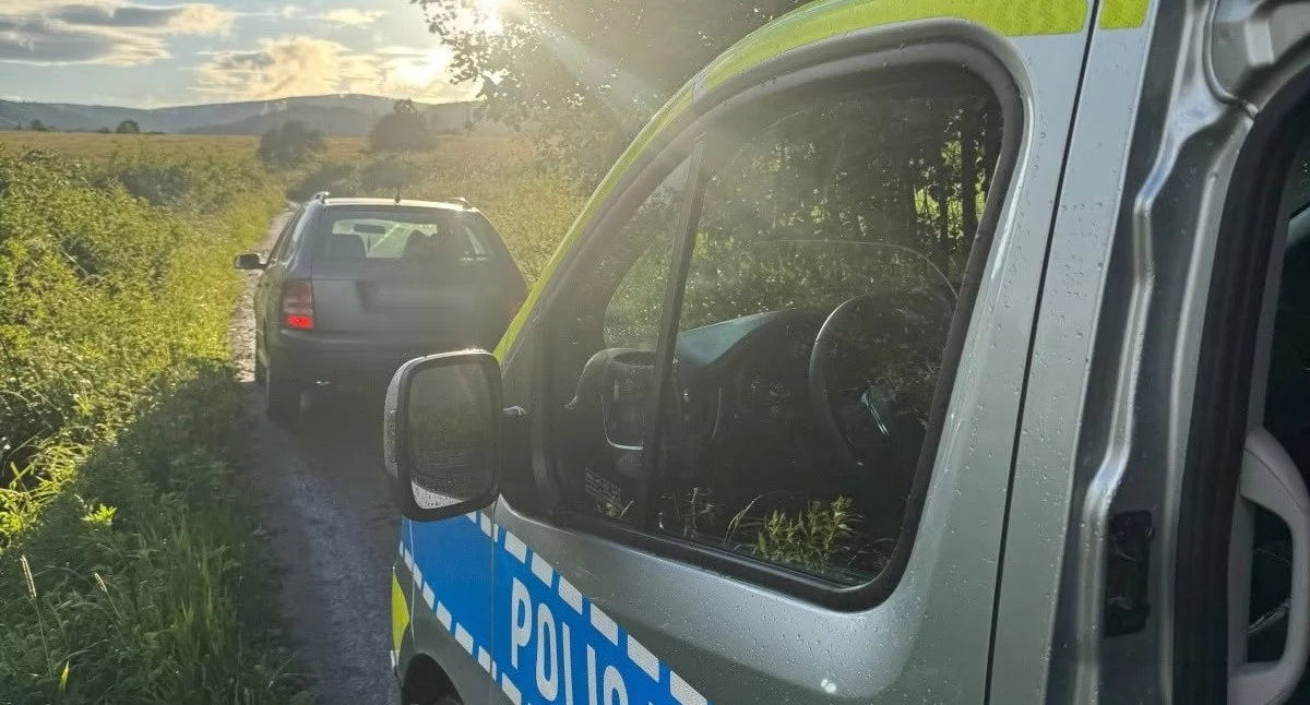 Policja, miał prawka - zdjęcie, fotografia