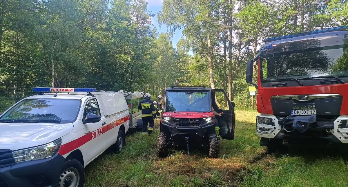 fot. Nadleśnictwo Kamienna Góra