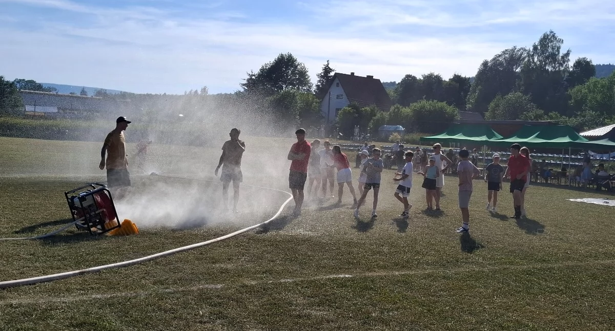 Rękodzieło, jarmarki, festyny, Rodzinny Piknik Sportowy Pisarzowicach - zdjęcie, fotografia