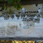 Fotka nr 3 z 10