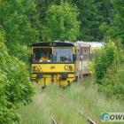 zdjęcie nr 43