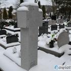 zdjęcie nr 10