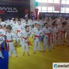 Fotka nr 5 z 101
