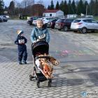 zdjęcie nr 17