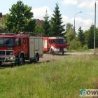 Fotka nr 3 z 12