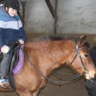 zdjęcie nr 105