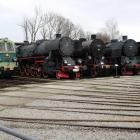 zdjęcie nr 52