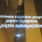 zdjęcie nr 137