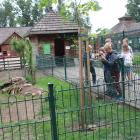 zdjęcie nr 14