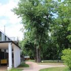 zdjęcie nr 126
