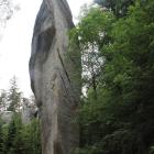 zdjęcie nr 52