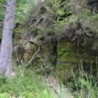 zdjęcie nr 135