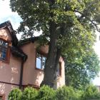 zdjęcie nr 12