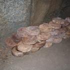 zdjęcie nr 33