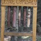 zdjęcie nr 33