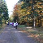 zdjęcie nr 49