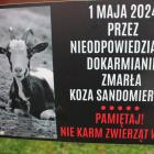 Fotka nr 3 z 93