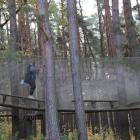 zdjęcie nr 50