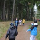 zdjęcie nr 53