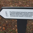 zdjęcie nr 150