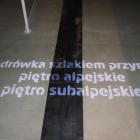zdjęcie nr 87
