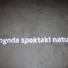 zdjęcie nr 118