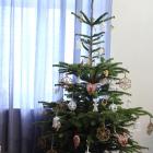 zdjęcie nr 8