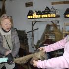 zdjęcie nr 190
