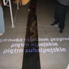 zdjęcie nr 62