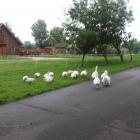 zdjęcie nr 7