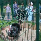 zdjęcie nr 18