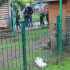 zdjęcie nr 22