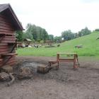 zdjęcie nr 31