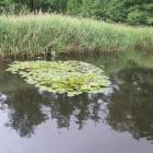 zdjęcie nr 37