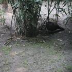 zdjęcie nr 75