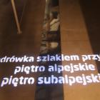 zdjęcie nr 128