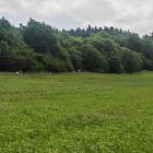 zdjęcie nr 96