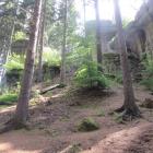 zdjęcie nr 38