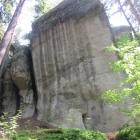 zdjęcie nr 46