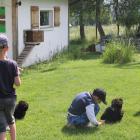 zdjęcie nr 47