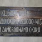 zdjęcie nr 11