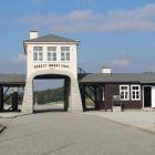 zdjęcie nr 42