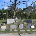 zdjęcie nr 75