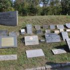 zdjęcie nr 76