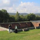 zdjęcie nr 131