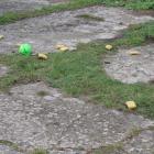 zdjęcie nr 169