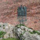 zdjęcie nr 196