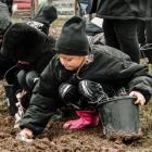 zdjęcie nr 160