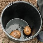 zdjęcie nr 163