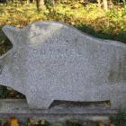 zdjęcie nr 71